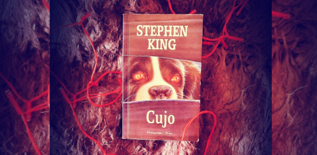 Stephen King - Cujo - film i książka - ciekawostki i fakty