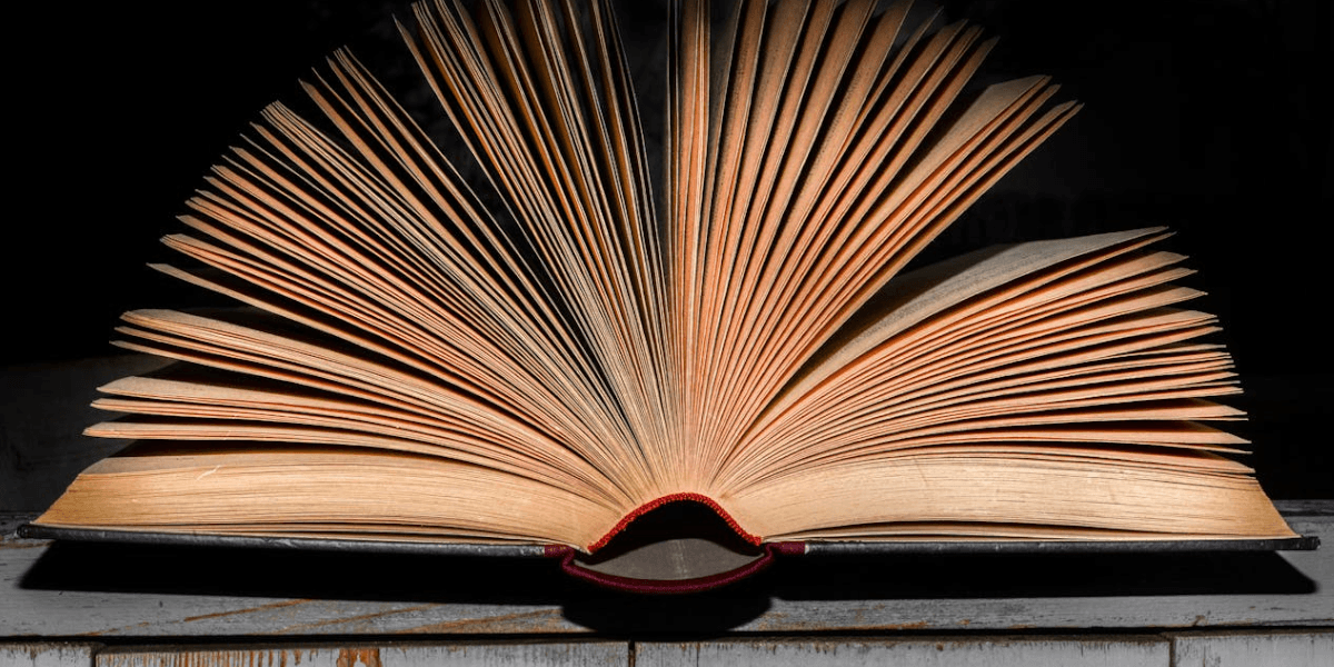 stan czytelnictwa w Polsce 2025 dane biblioteka narodowa